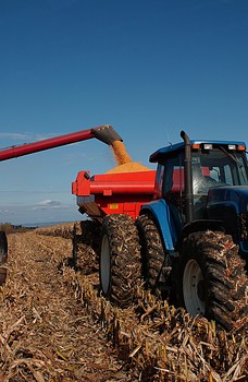 Créer du chômage : facile dans le monde agricole