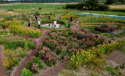 Jardin Mandala Sainte Marthe