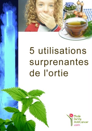 5 utilisations surprenantes de l'ortie