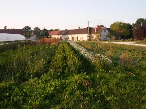 Quoi de neuf à la ferme Sainte Marthe