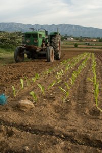 L'agriculture biologique, une réponse citoyenne pour préserver notre avenir !