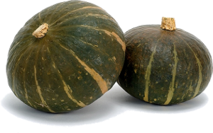Les l�gumes oubli�s ne vous oublient pas eux