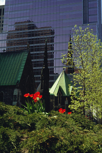 Un jardin potager en centre ville