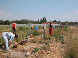 Un job dans secteur bio