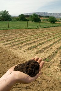 Une pépinière pour démarrer une activité de maraîcher bio indépendant