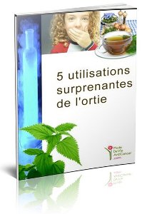 Petit guide pour d�couvrir l'ortie
