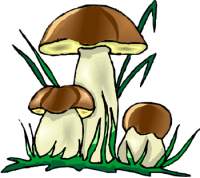 Champignons farcis