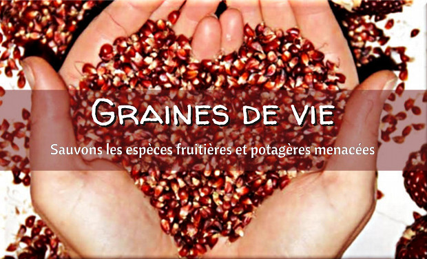 Graines de Vie