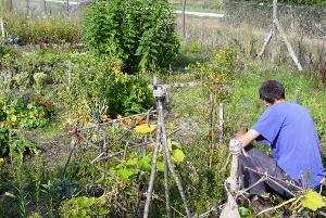 Peut-on gagner sa vie avec la permaculture?