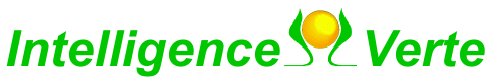 Logo intelligence Verte