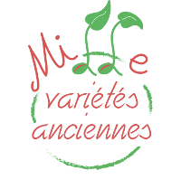 Mille variétés anciennes