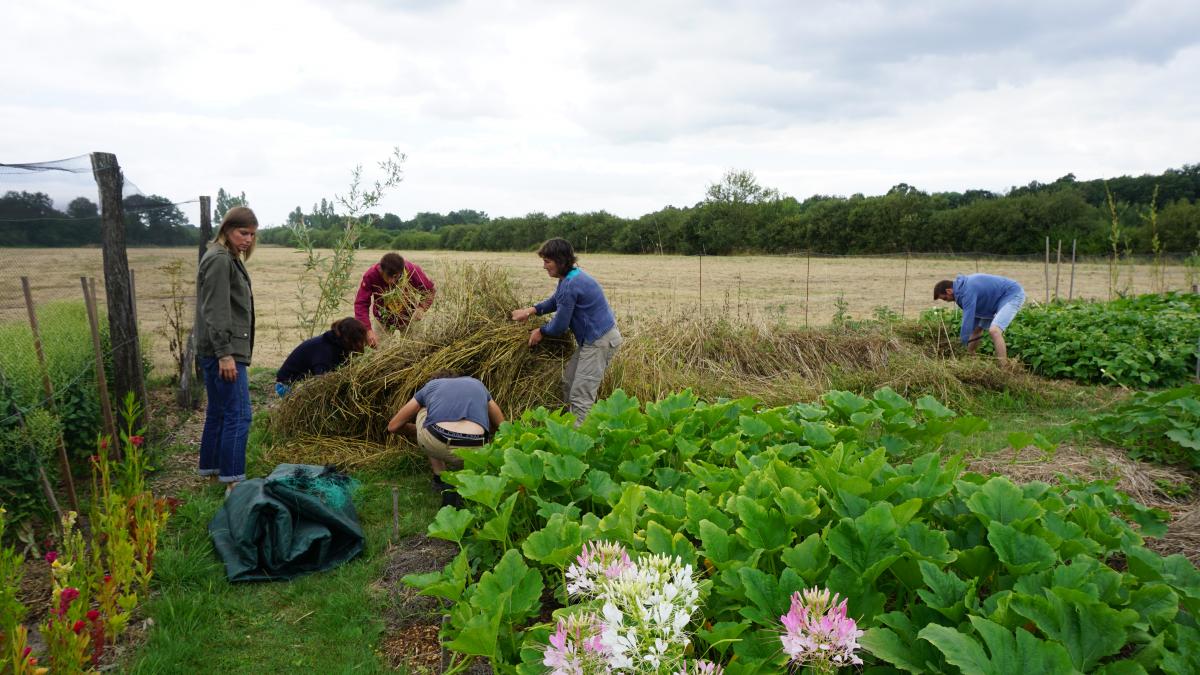 Permaculture