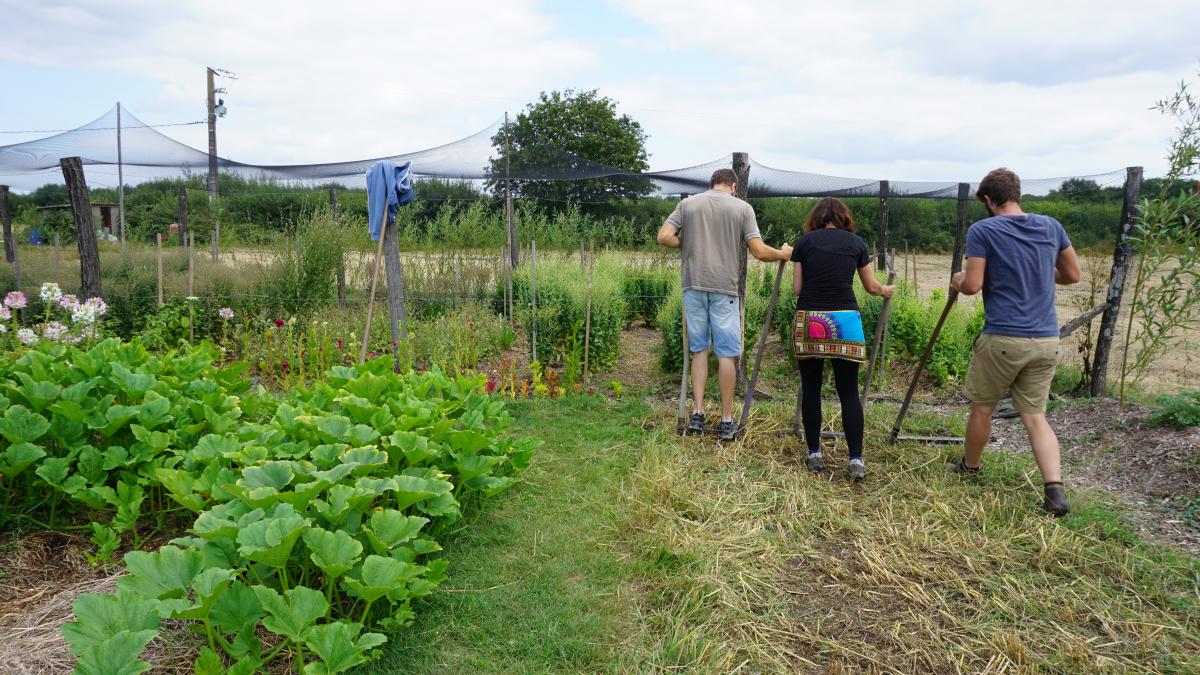 stage permaculture